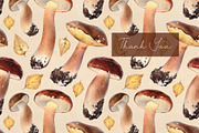 Fungus, a Pattern Graphic by Sundra (Thumbnail 13 of 13)