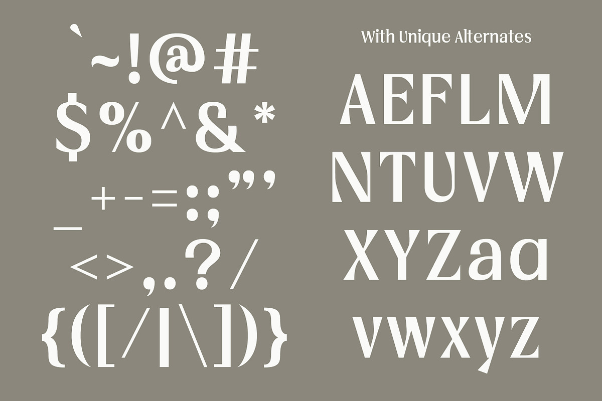Vogera Minimal Editorial Serif, a Serif Font by Lettertype Studio (Photo 10 of 15)