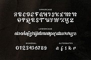 Abrock - Script Typeface, a Script Font by Typefactoryco (Thumbnail 2 of 8)