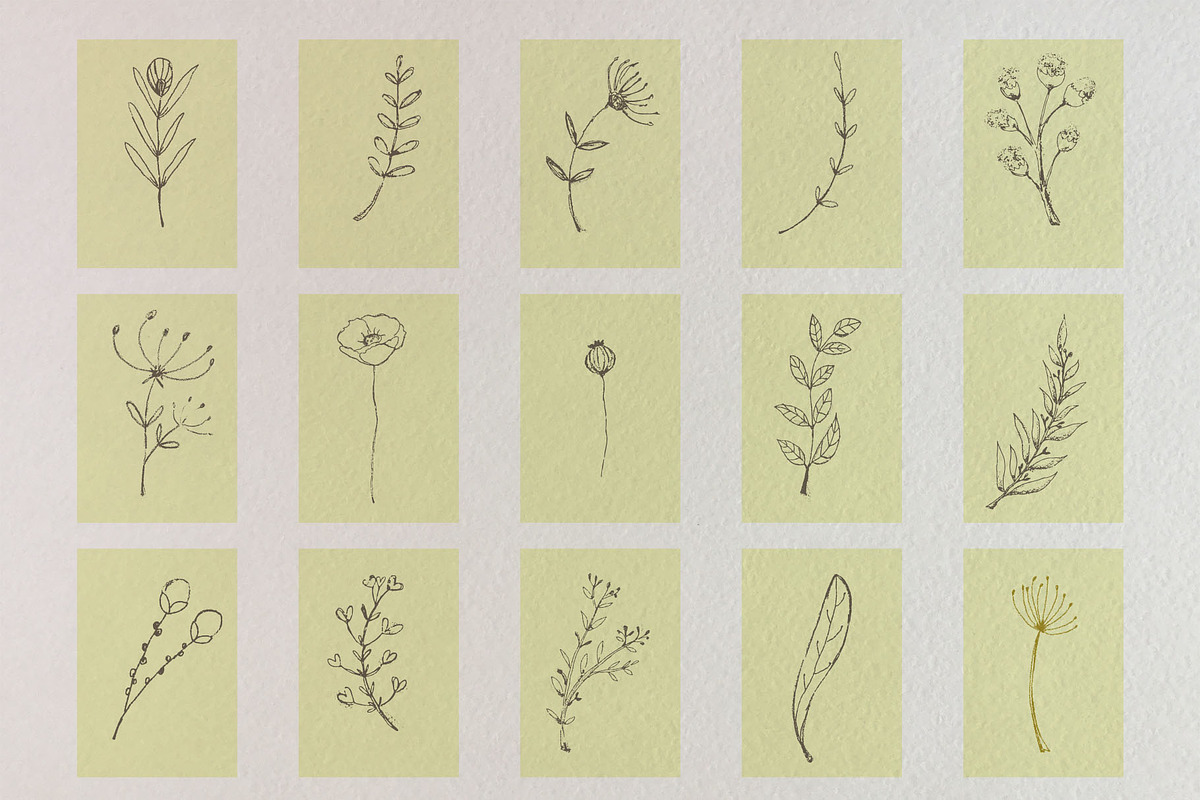 Just hand-drawn leaves, a Decorative Illustration by tinybunnyshop (Photo 2 of 11)