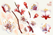 Apricot Fruits & Flowers, watercolor, a Food Illustration by EL_SUHOVA (Thumbnail 3 of 17)