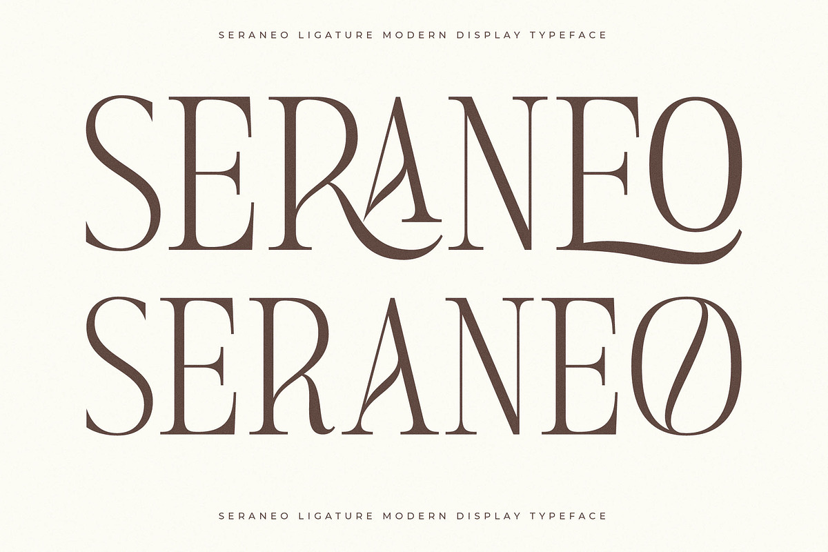 Seraneo Modern Display Typeface, a Serif Font by Letterena Studios (Photo 4 of 15)