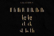 Georgia Luxurious Serif font + Extra, a Serif Font by VP Fonts (Thumbnail 11 of 13)