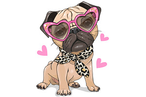 Pug Dog With Pink Glasses And Scarf