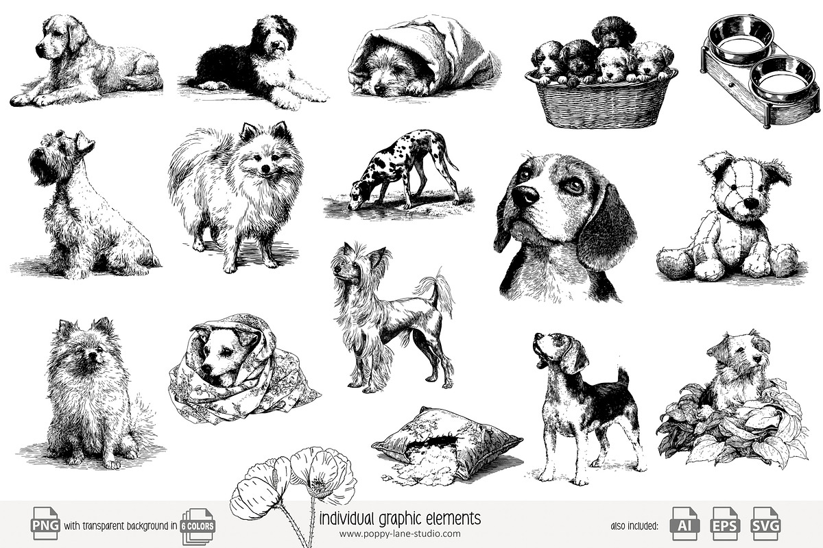 95 line art Dogs clip art, an Animal Illustration by Poppy Lane Studio (Photo 2 of 11)