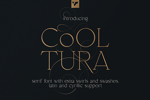 SALE! Cooltura Serif Font Swashes