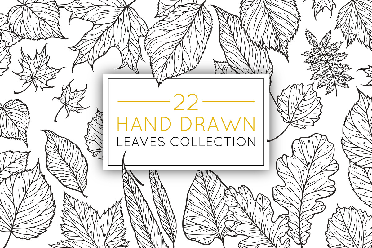 Hand drawn leaves collection, a Decorative Illustration by IreneArt illustrations (Photo 1 of 4)