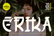 Shirouga - Display Japanese Font, a Handwritten Font by twinstd (Thumbnail 8 of 9)