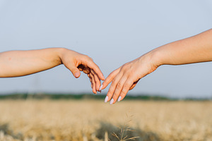 Two Hands Reaching for Each Other in Wheat Field, a Person Photo by Red Hot Chili Pepper Shop