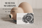 Medicinal Mushrooms & Plants Set, a Healthcare Illustration by Yevheniia (Thumbnail 2 of 12)