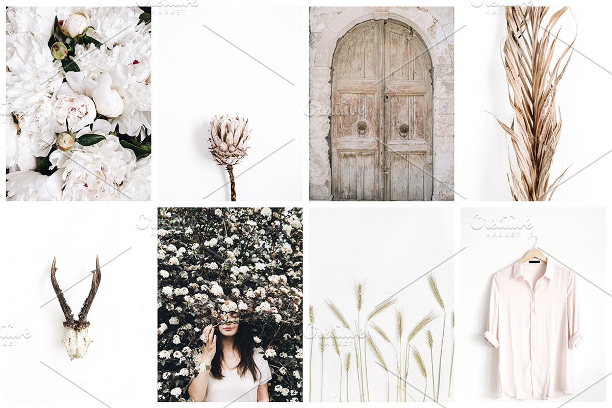 Aesthetic Pastel Styled Stock Photos, a Background Photo by Floral Deco (Photo 2 of 39)
