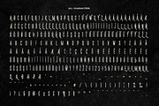 Norsten Vintage Condensed + Extras, a Sans Serif Font by Wandery Supply (Thumbnail 12 of 14)