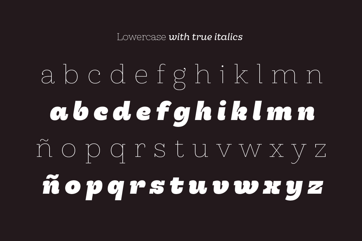 Hernández Niu, a Slab Serif Font by Latinotype (Photo 6 of 17)