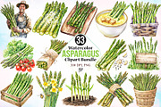 Watercolor Asparagus Clipart Bundle, a Food Illustration by Canvas Craft (Thumbnail 1 of 3)