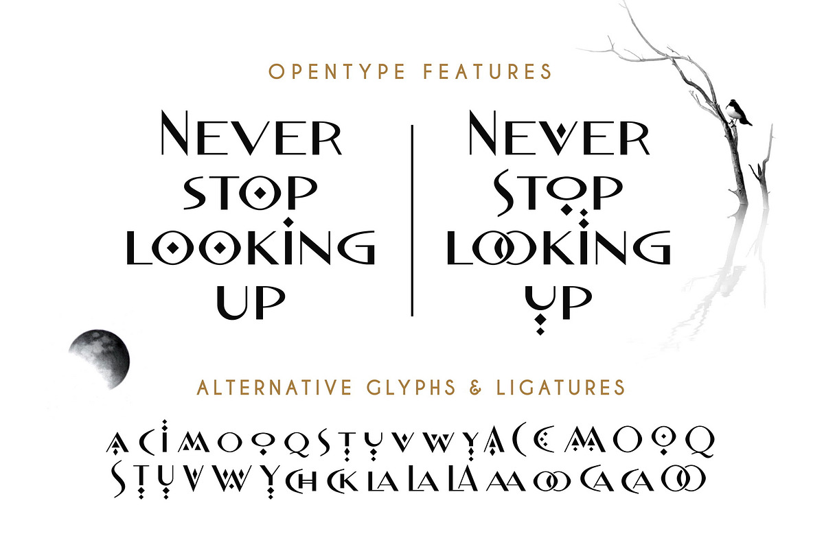 Moonwild - Celestial Font & Symbols, a Sans Serif Font by Struvictory.art (Photo 5 of 10)