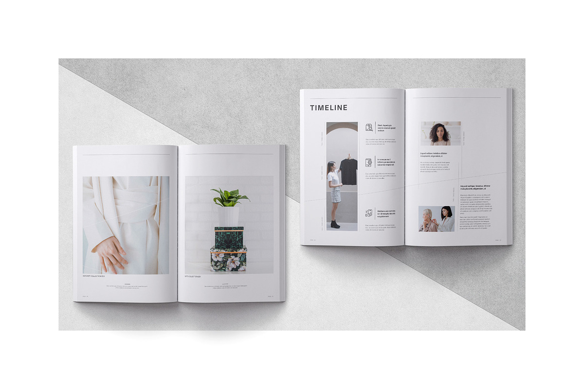 SONE / Proposal - Canva, a Brochure Template by BrochuresFactory (Photo 9 of 10)