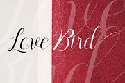Milsey, a Script Font by Gatype (Thumbnail 3 of 5)