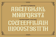 Black Holist, a Symbol Font by Vintage Division (Thumbnail 13 of 15)