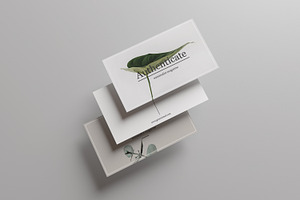 Authenticate Business Card Template