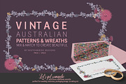 VINTAGE AUSTRALIAN WILDFLOWER SET, an Illustration by Sketchbook Designs (Thumbnail 3 of 12)