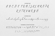 Savannah Signature Script, a Script Font by Creatype Studio (Thumbnail 6 of 9)