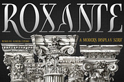 Roxante - Modern Serif Font, a Serif Font by Almeera Std (Thumbnail 1 of 6)