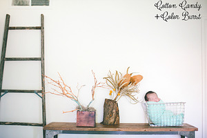 Newborn Lightroom Presets-LR
