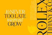 Retro Voice – Variable Serif Font, a Serif Font by Blessed Print (Thumbnail 10 of 29)