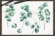 Silver Dollar Eucalyptus, a Decorative Illustration by DioFlow (Thumbnail 4 of 5)