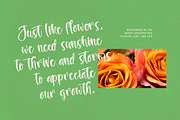 Behavior Goldway Bold Hand Font, a Script Font by stylishtype.co (Thumbnail 18 of 20)