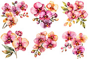 Watercolor Pink Orchid Clipart, an Illustration by Craft Nest (Thumbnail 10 of 12)