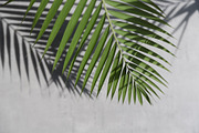 The Slate Collection Photos, a Business Photo by Moyo Studio (Thumbnail 8 of 9)