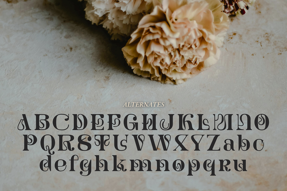 Dainey Modern Serif Font, a Serif Font by Graphue (Photo 3 of 9)