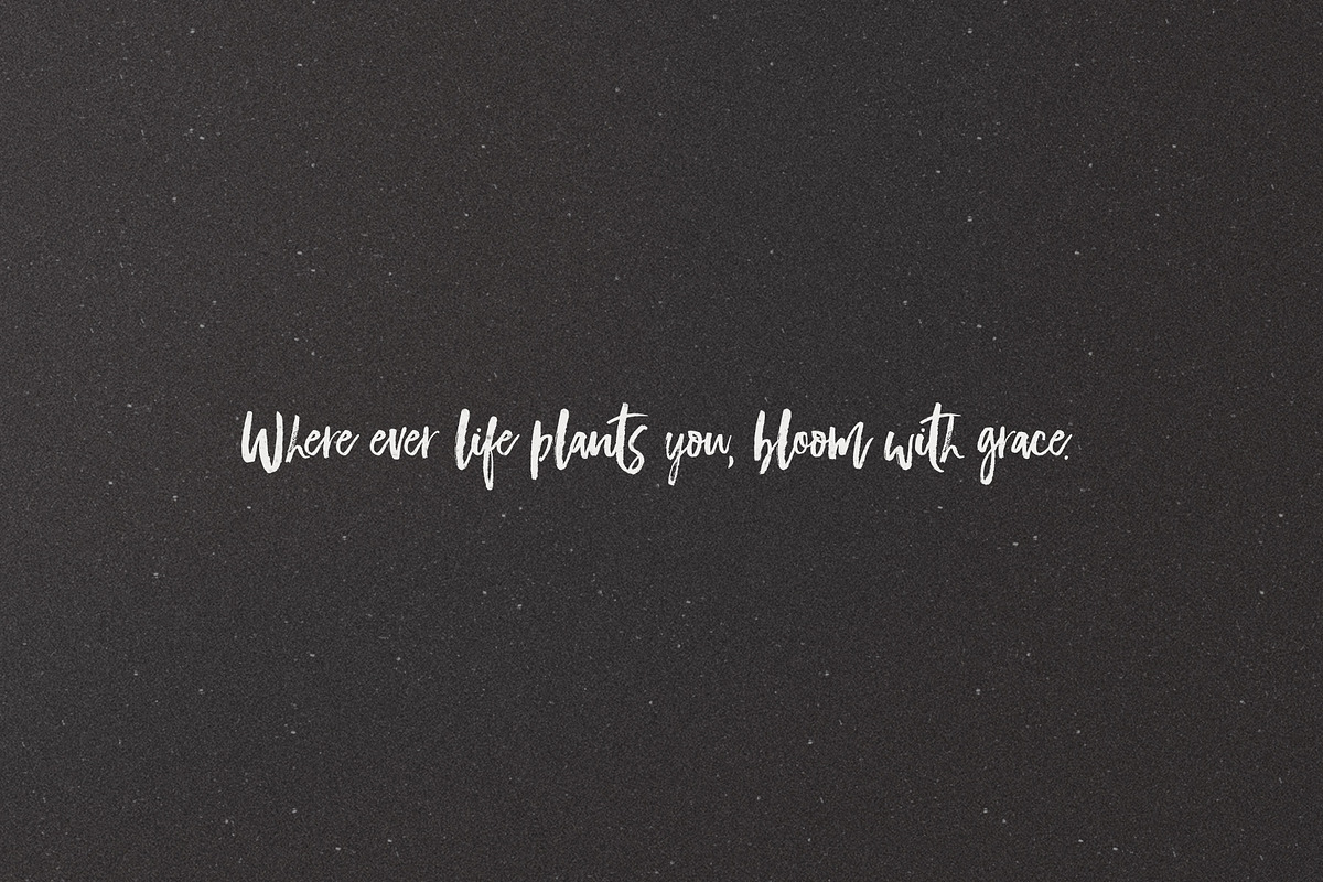 Bellissimo Typeface + Minimal Logos preview 7