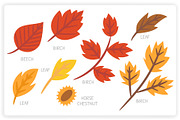 36 Autumn Elements + 12 Patterns, a Graphic by monkik (Thumbnail 4 of 12)