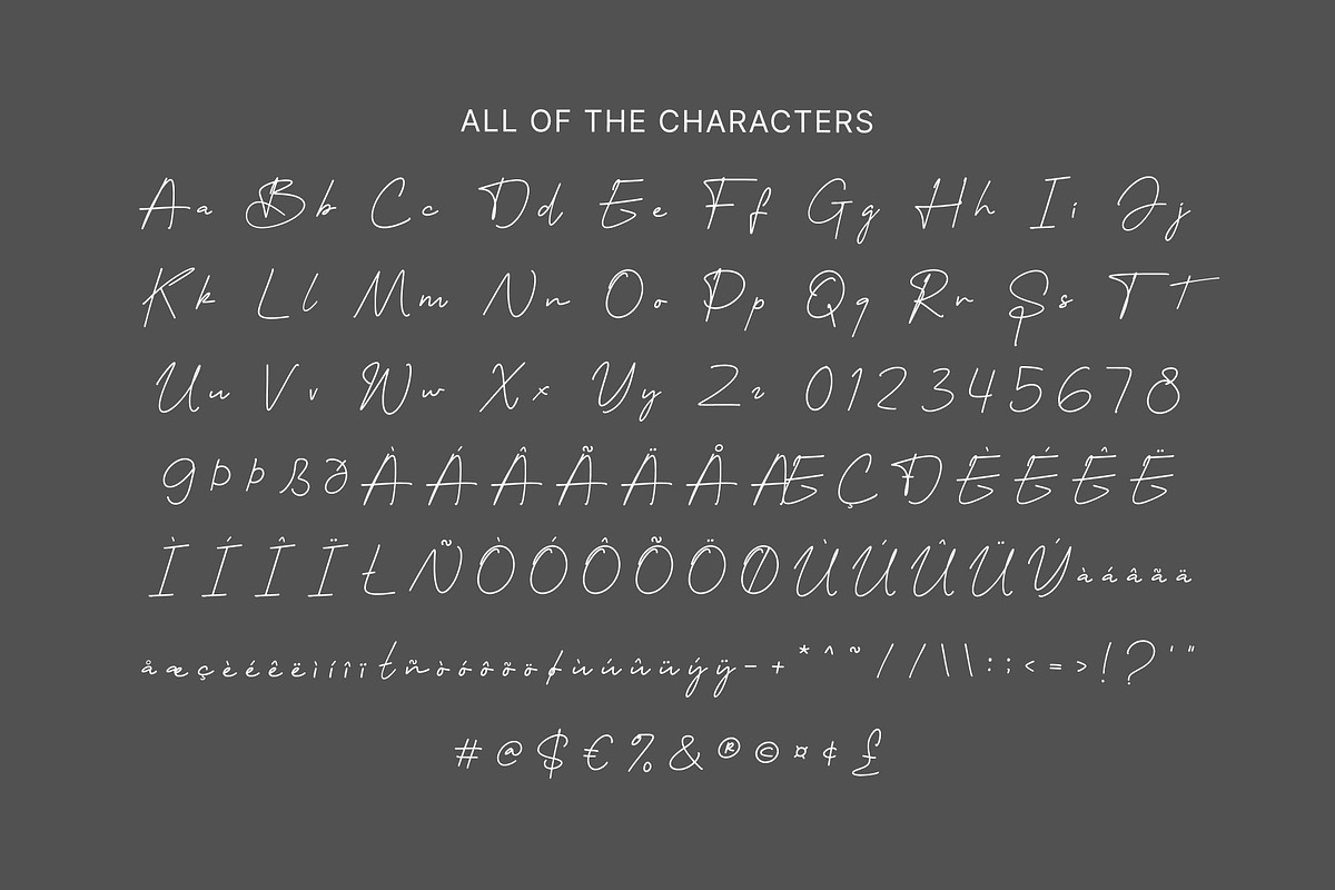 CS Sonya – Signature Font, a Script Font by Craft Supply Co. (Photo 8 of 8)