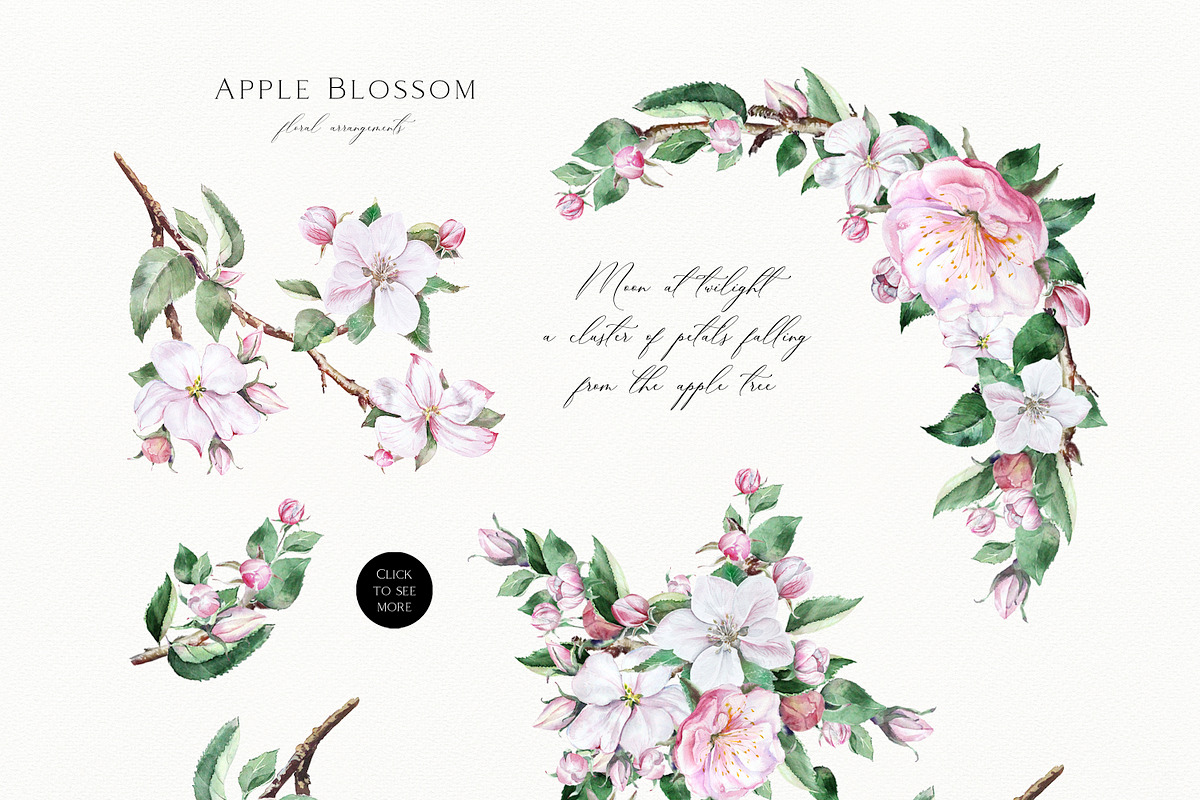 Apple Blossom, a Decorative Illustration by Olga Koelsch (Photo 2 of 9)