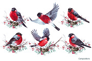 Watercolor winter story, an Illustration by YuliaBiser (Thumbnail 6 of 11)