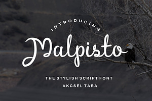 Malpisto - Stylish Script Font