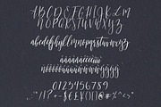 Florence | A Beautiful Script, a Script Font by Jen Wagner Co (Thumbnail 2 of 5)