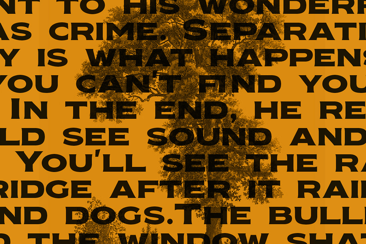 Nakara Serif | Modern Seriface, a Serif Font by Kreuk Studio (Photo 4 of 8)
