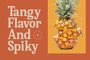 Bellati Nortils Groovy Serif Font, a Serif Font by timelesstype.co (Thumbnail 15 of 20)