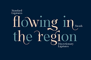 Dawnora Normal, a Serif Font by Typomancer (Thumbnail 4 of 4)