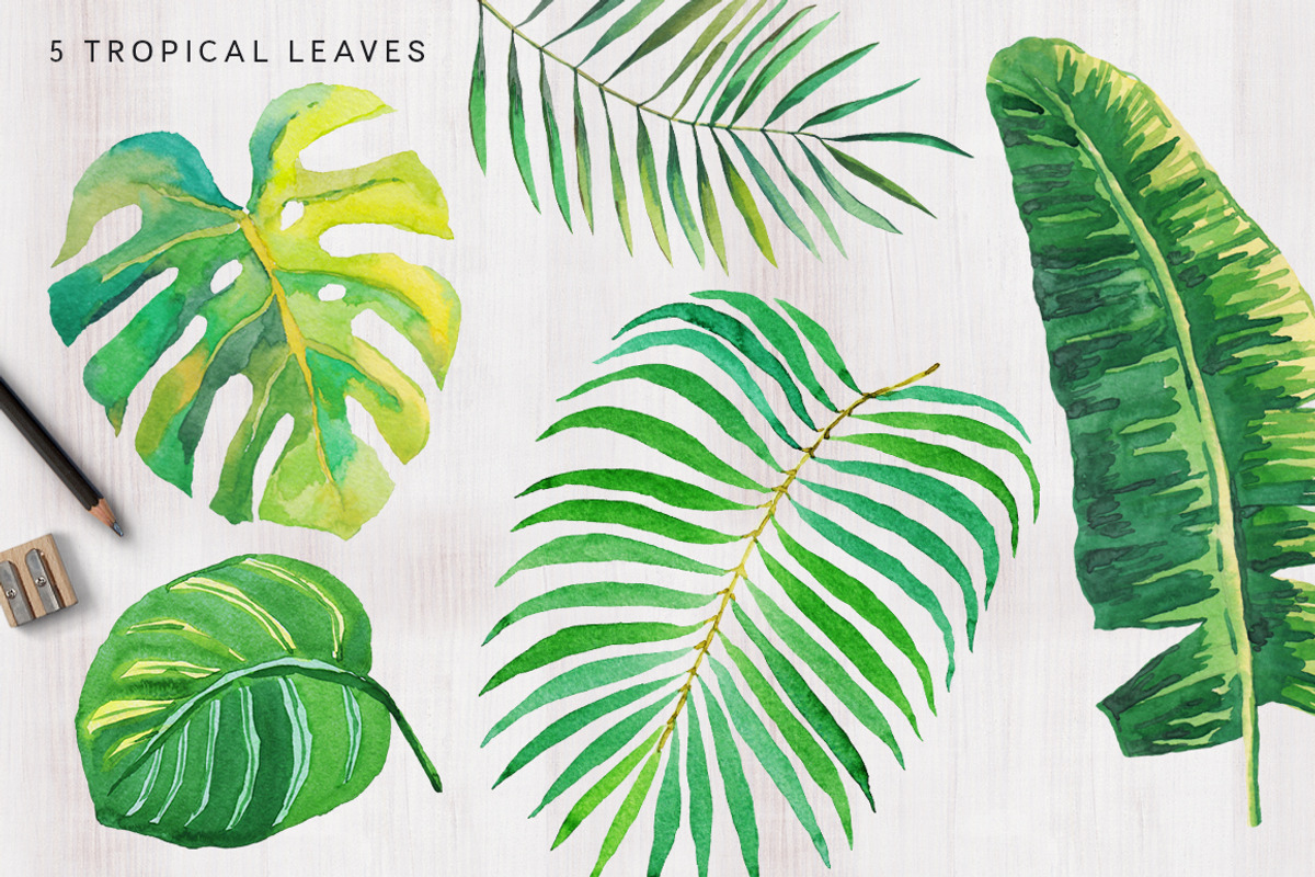 Tropical palm leaves, an Illustration by OJardin (Photo 7 of 8)