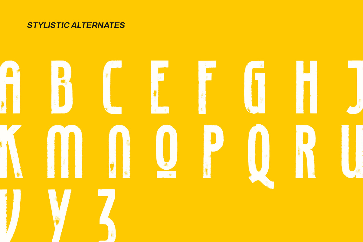 Colotus, a Script Font by Ditatype (Photo 6 of 10)