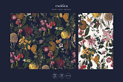 Exótica, Luxury Pattern design!, a Pattern Graphic by TSTUDIO (Thumbnail 3 of 14)