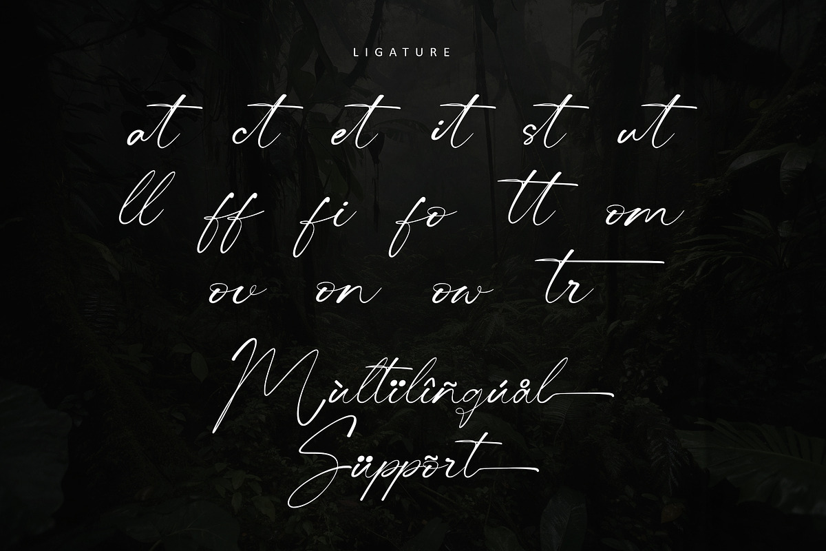 Centralwell, a Handwritten Font by Letterara (Photo 13 of 14)