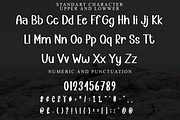 Positive, a Script Font by InermediaSTUDIO (Thumbnail 7 of 7)