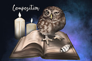 Watercolor Magic Owl, a Decorative Illustration by NNclipart (Thumbnail 6 of 8)