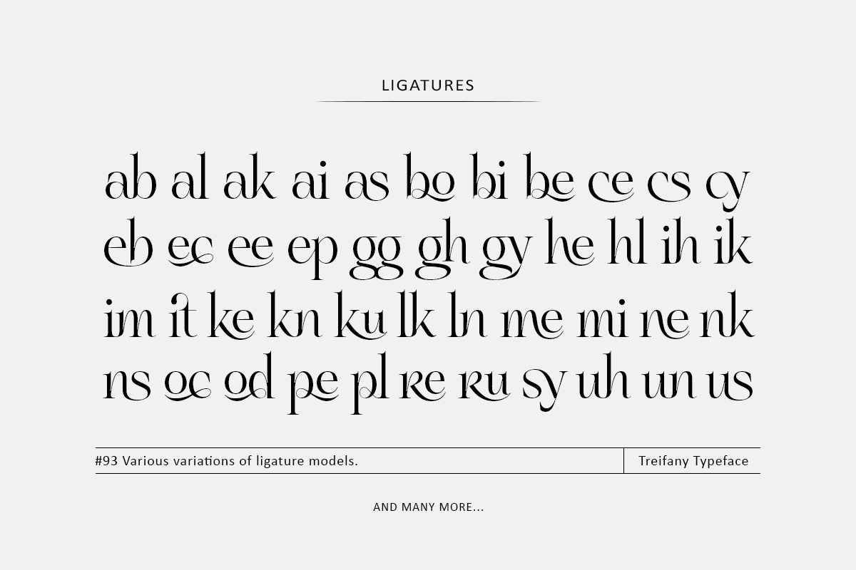 Treifany, a Serif Font by Attract Studio (Photo 19 of 20)